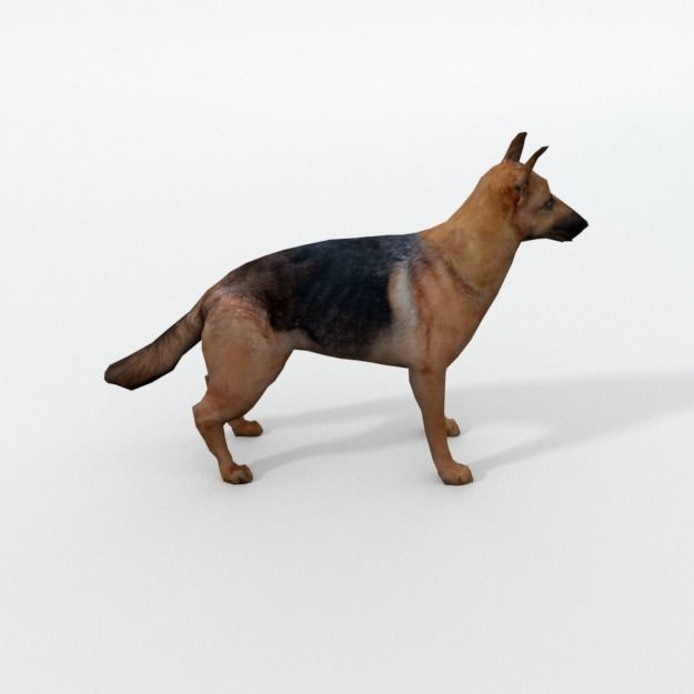 25 Farm Animal 3D Model – Low Poly Collection, FBX, OBJ, Game Ready - View 82