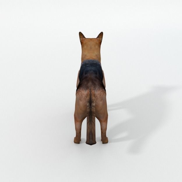 25 Farm Animal 3D Model – Low Poly Collection, FBX, OBJ, Game Ready - View 83