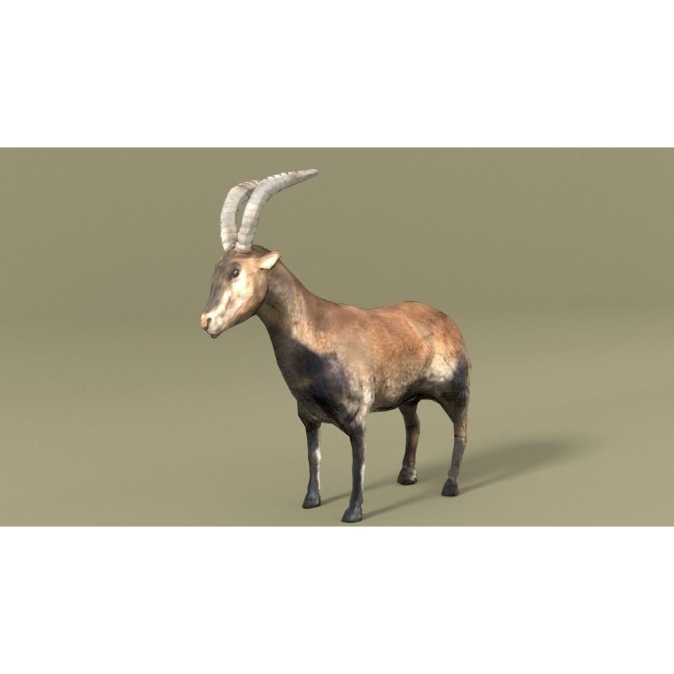 25 Farm Animal 3D Model – Low Poly Collection, FBX, OBJ, Game Ready - View 86