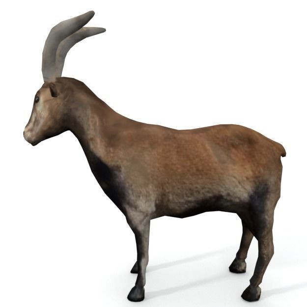 25 Farm Animal 3D Model – Low Poly Collection, FBX, OBJ, Game Ready - View 87