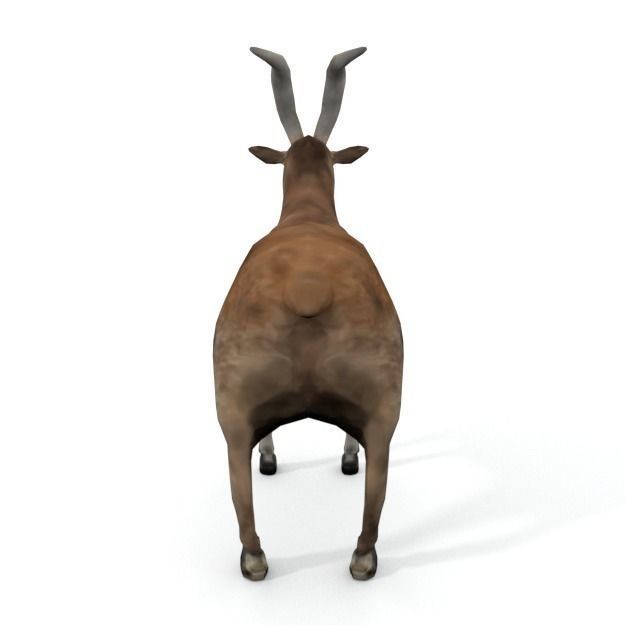 25 Farm Animal 3D Model – Low Poly Collection, FBX, OBJ, Game Ready - View 88