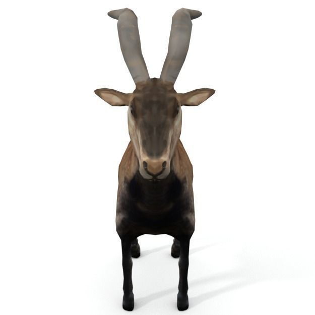 25 Farm Animal 3D Model – Low Poly Collection, FBX, OBJ, Game Ready - View 89