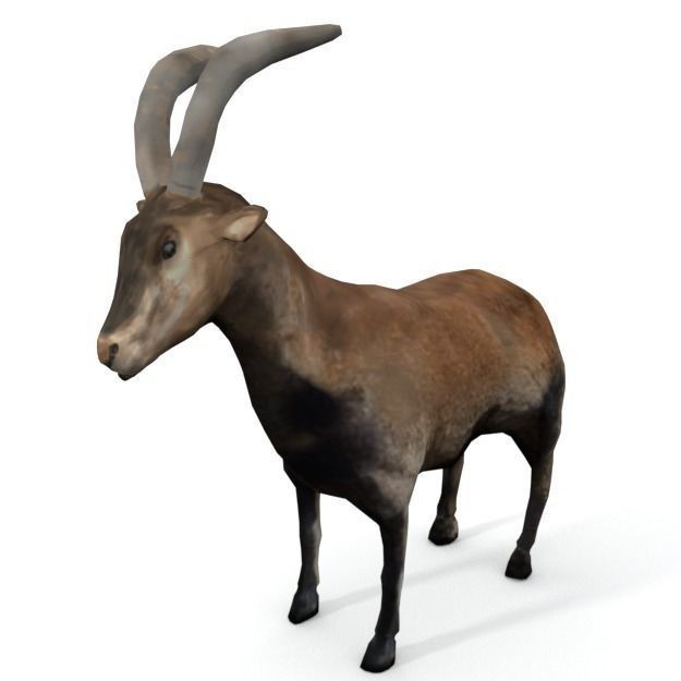 25 Farm Animal 3D Model – Low Poly Collection, FBX, OBJ, Game Ready - View 90