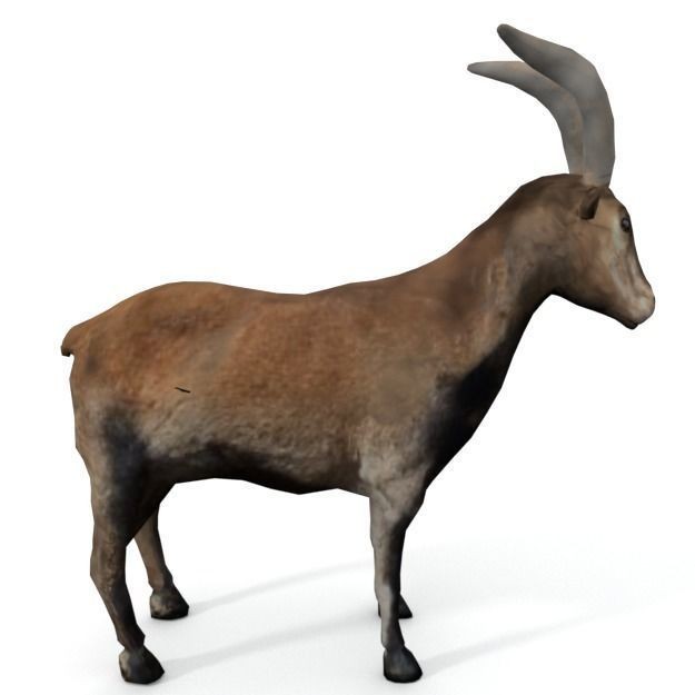 25 Farm Animal 3D Model – Low Poly Collection, FBX, OBJ, Game Ready - View 91