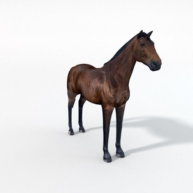 25 Farm Animal 3D Model – Low Poly Collection, FBX, OBJ, Game Ready - View 93
