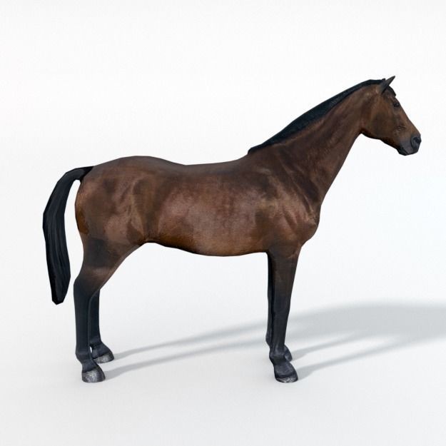 25 Farm Animal 3D Model – Low Poly Collection, FBX, OBJ, Game Ready - View 95