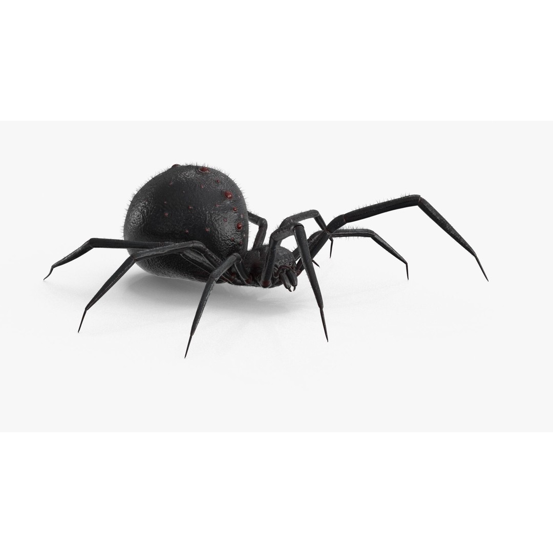 Spider 3D Model – Rigged Low-Poly PBR Asset for Animation - View 11