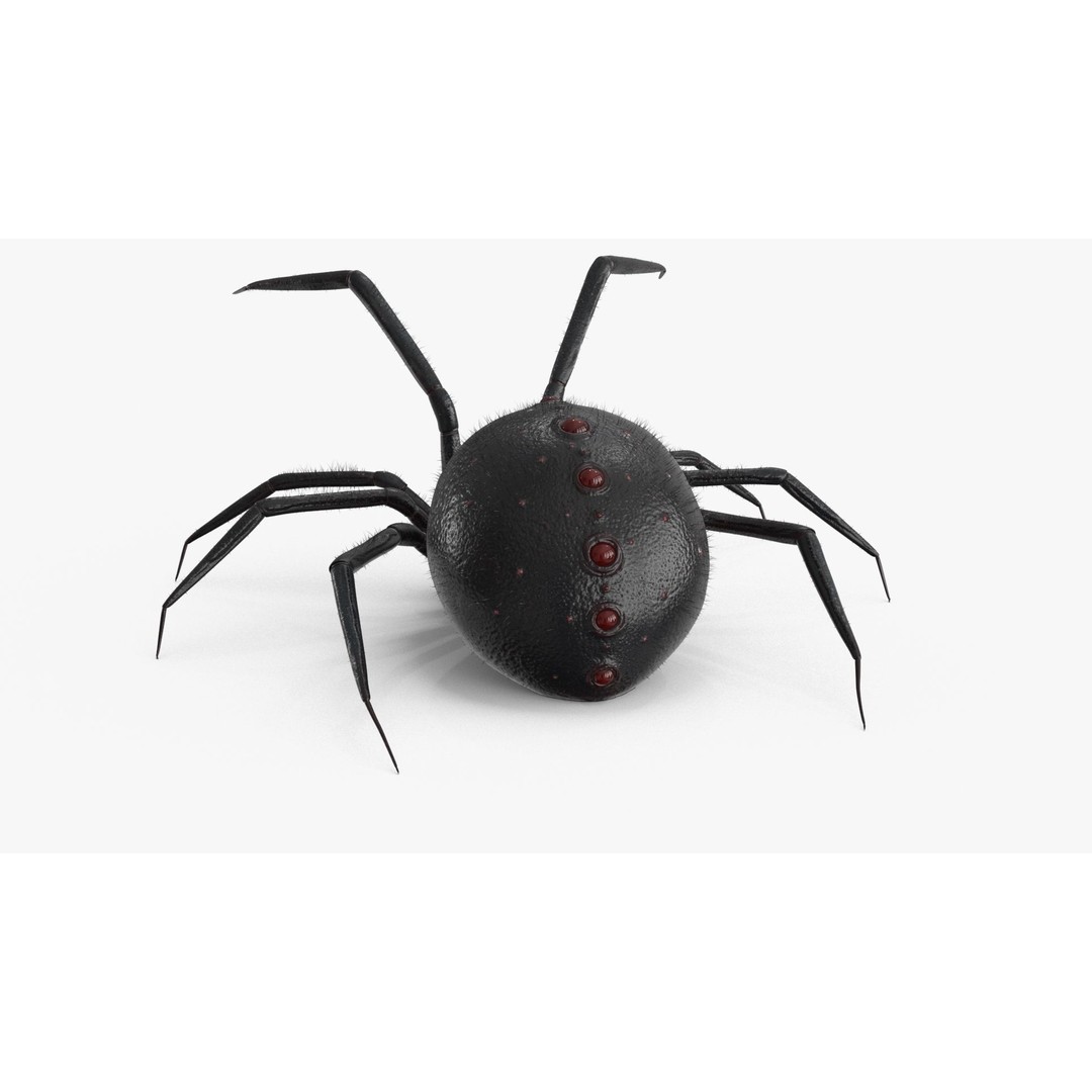 Spider 3D Model – Rigged Low-Poly PBR Asset for Animation - View 14