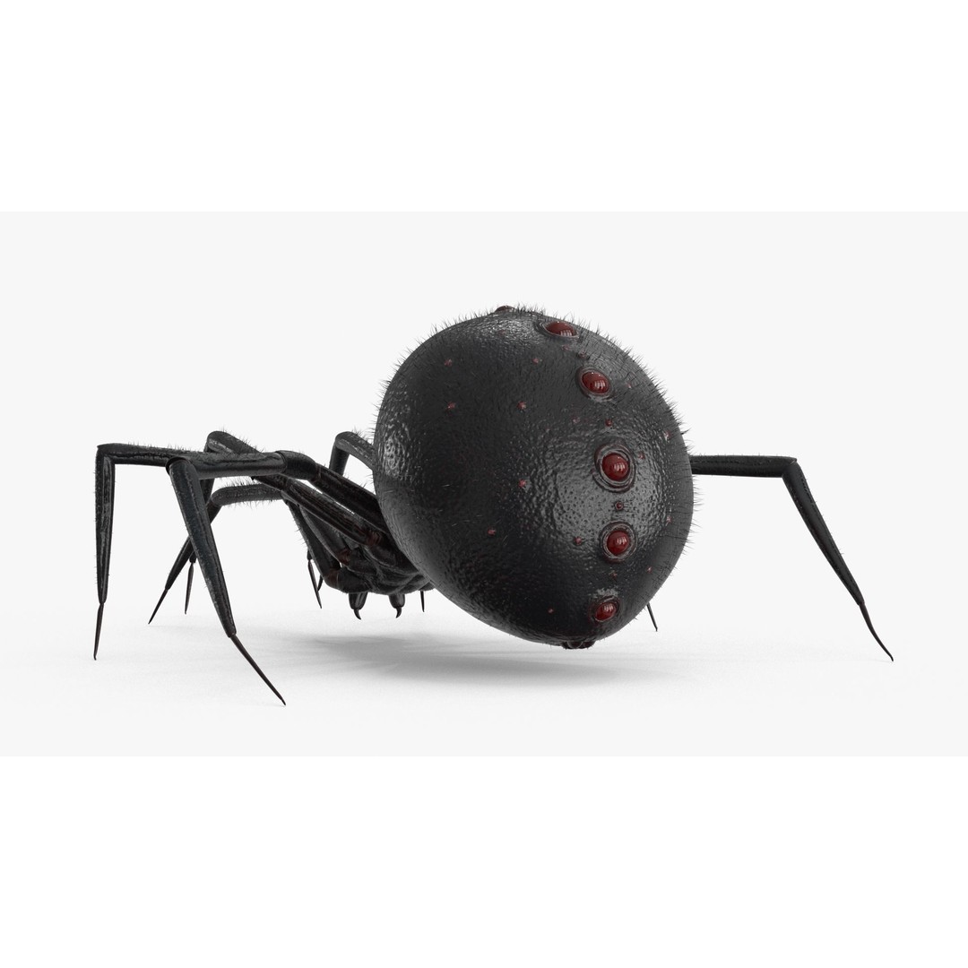 Spider 3D Model – Rigged Low-Poly PBR Asset for Animation - View 5