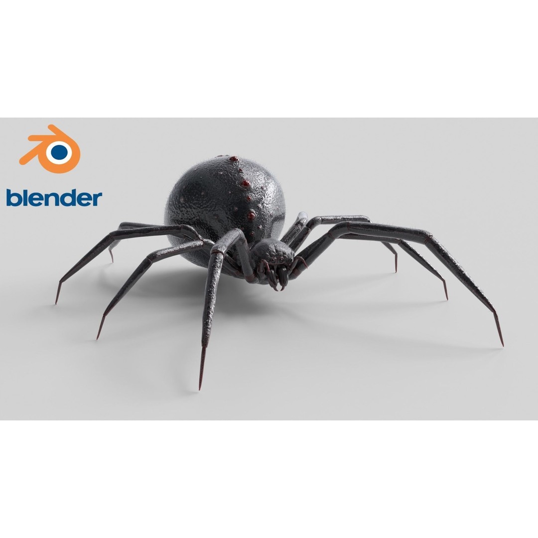Spider 3D Model – Rigged Low-Poly PBR Asset for Animation - View 7
