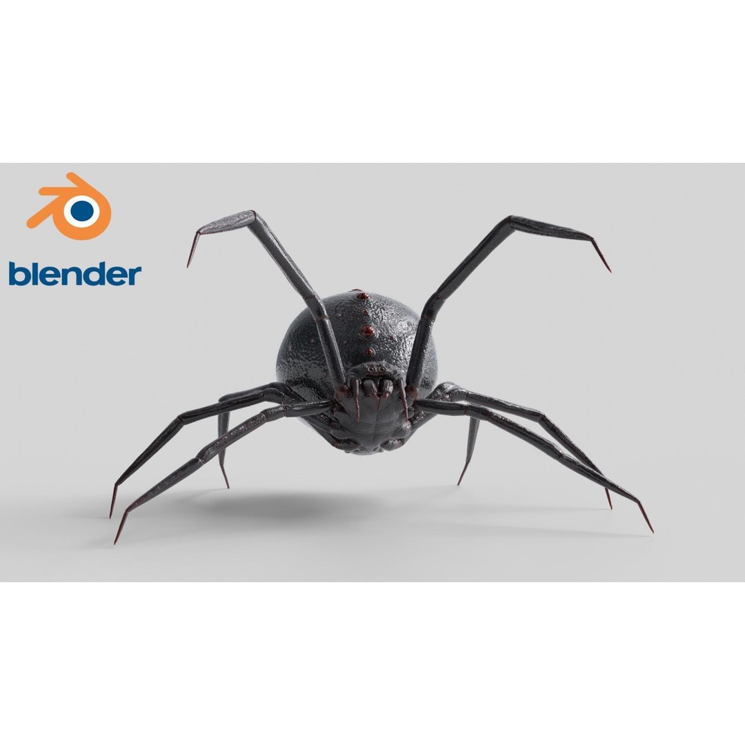 Spider 3D Model – Rigged Low-Poly PBR Asset for Animation - View 8