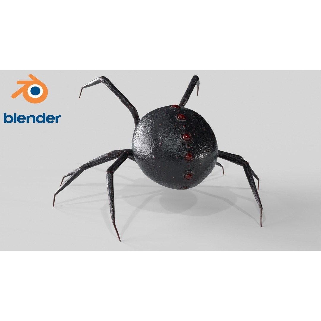 Spider 3D Model – Rigged Low-Poly PBR Asset for Animation - View 9