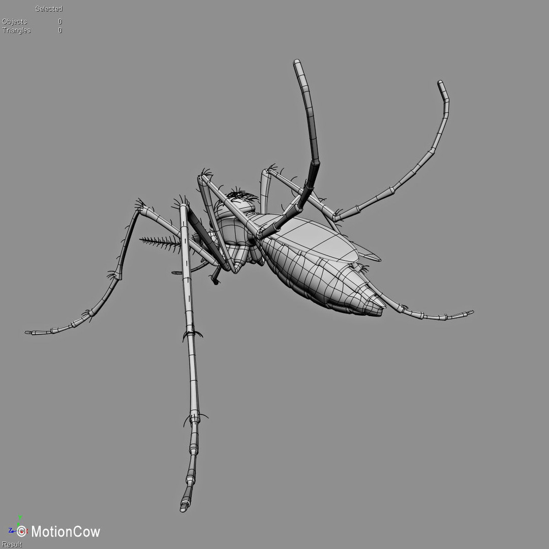 Mosquito 3D Model – Photorealistic Rigged Insect for Animation - View 15