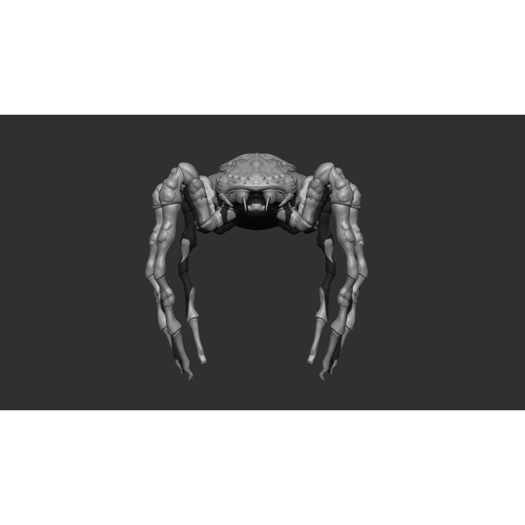 Giant Spider 3D Model – Low Poly Rigged Creature for Games, FBX - View 12