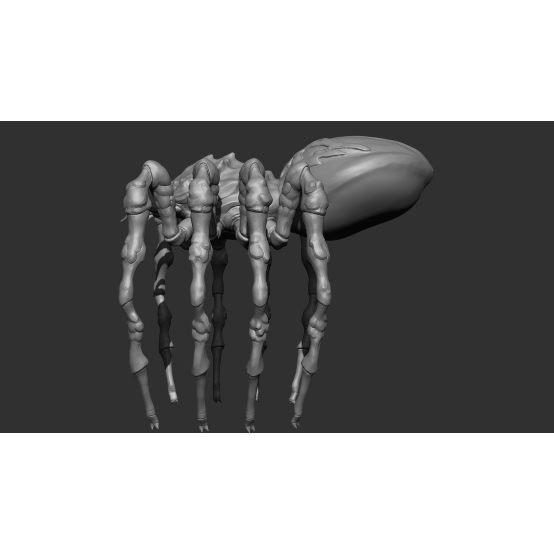 Giant Spider 3D Model – Low Poly Rigged Creature for Games, FBX - View 13