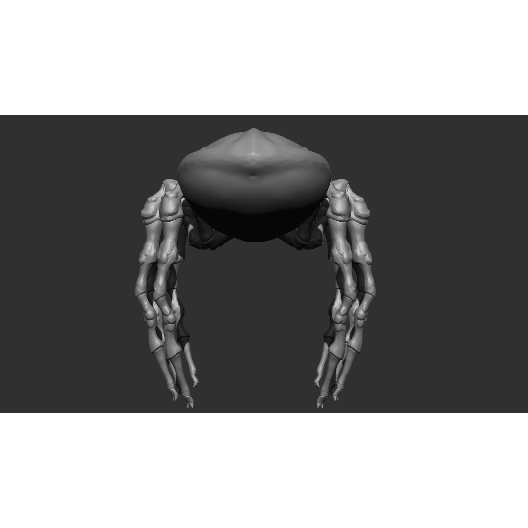 Giant Spider 3D Model – Low Poly Rigged Creature for Games, FBX - View 14