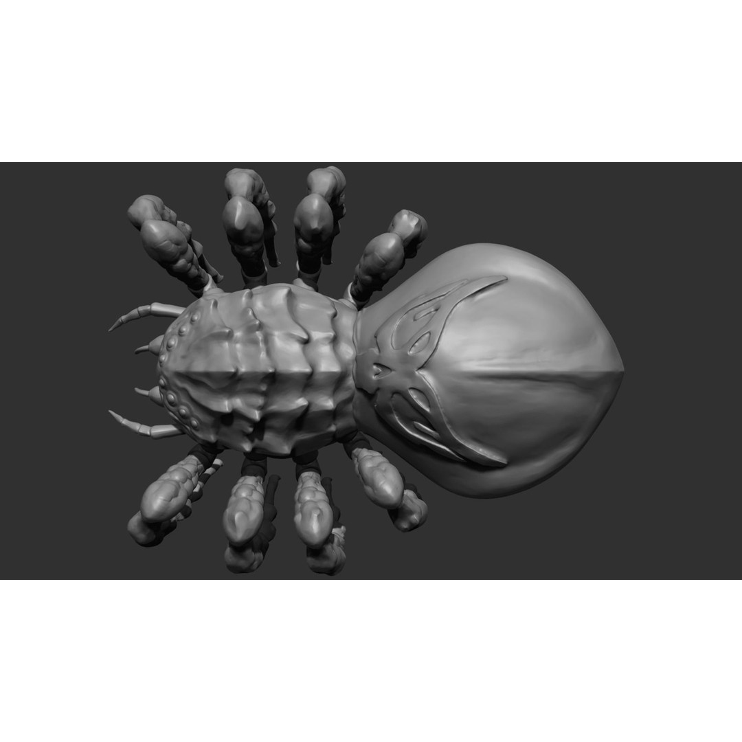 Giant Spider 3D Model – Low Poly Rigged Creature for Games, FBX - View 15