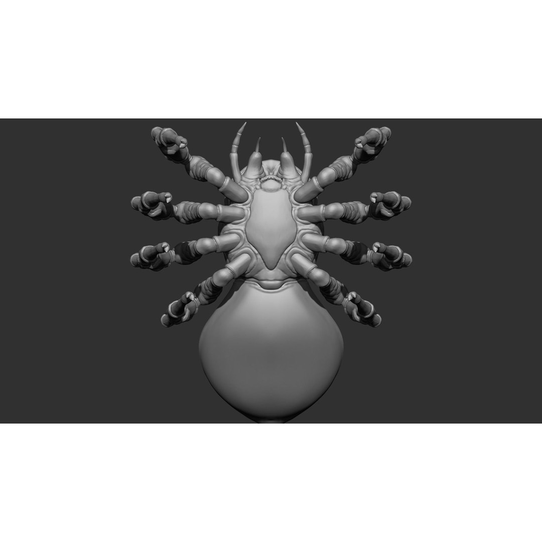 Giant Spider 3D Model – Low Poly Rigged Creature for Games, FBX - View 16