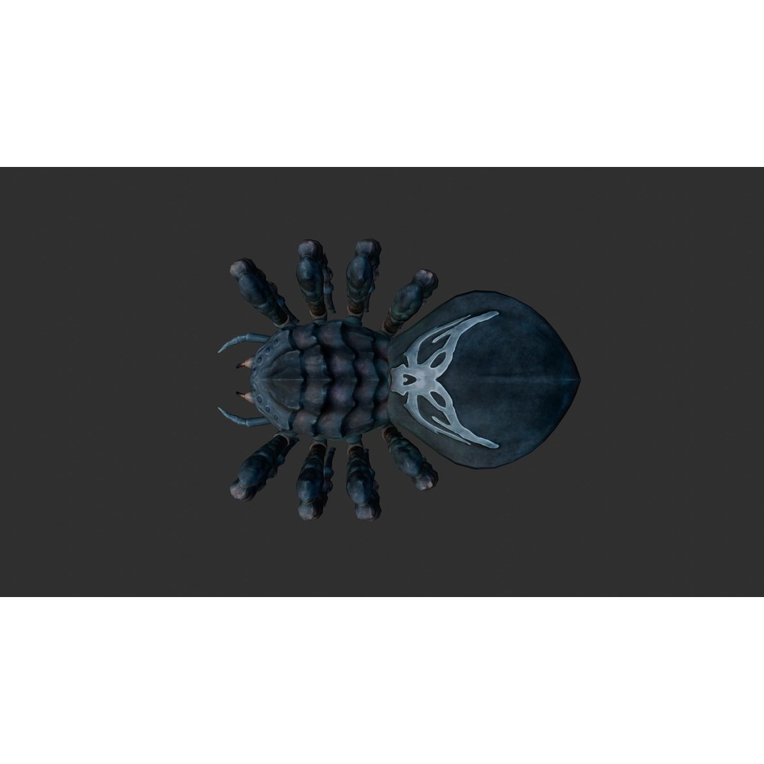 Giant Spider 3D Model – Low Poly Rigged Creature for Games, FBX - View 5