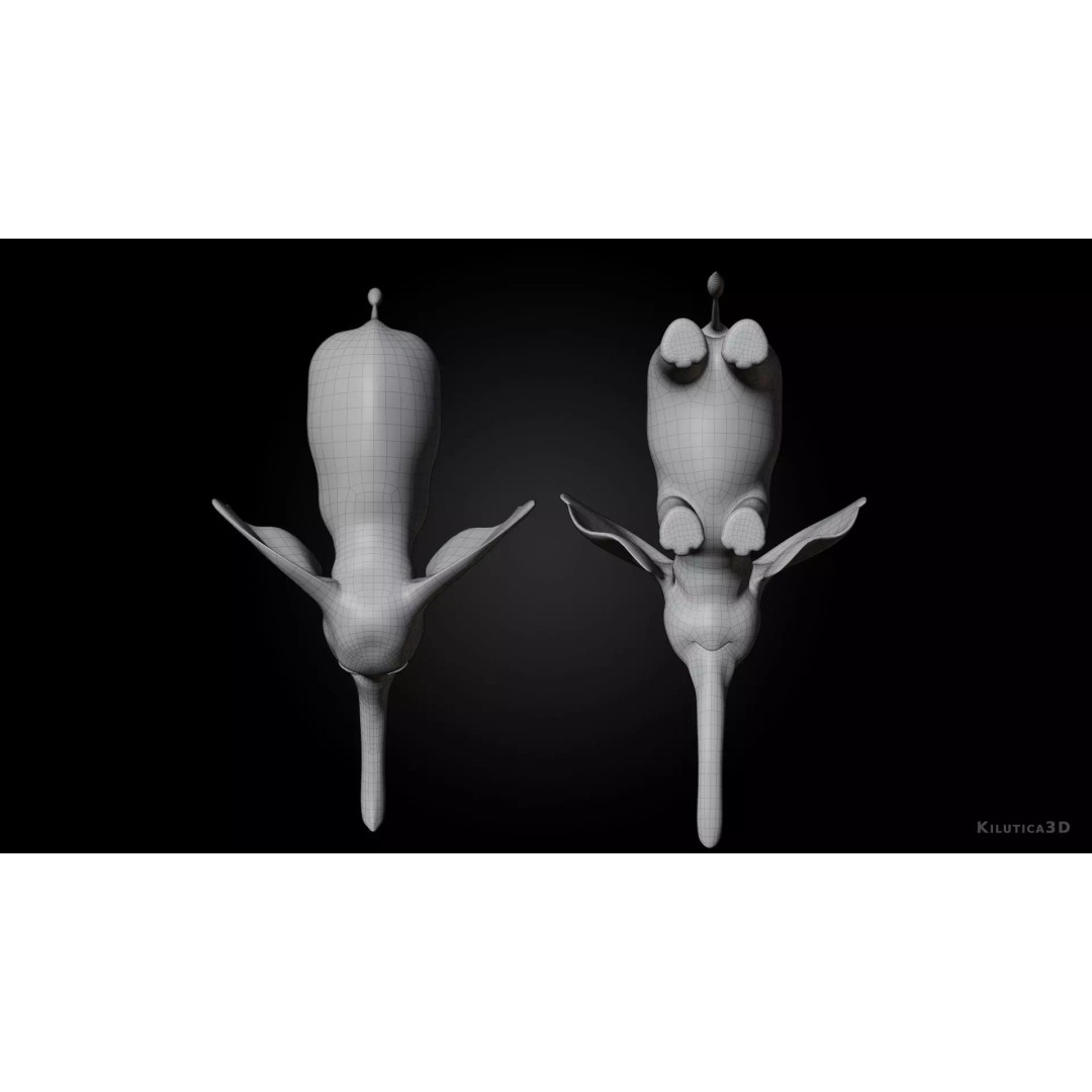 Stylized Elephant Calf 3D Model – Rigged Low-Poly Game Asset, FBX - View 12