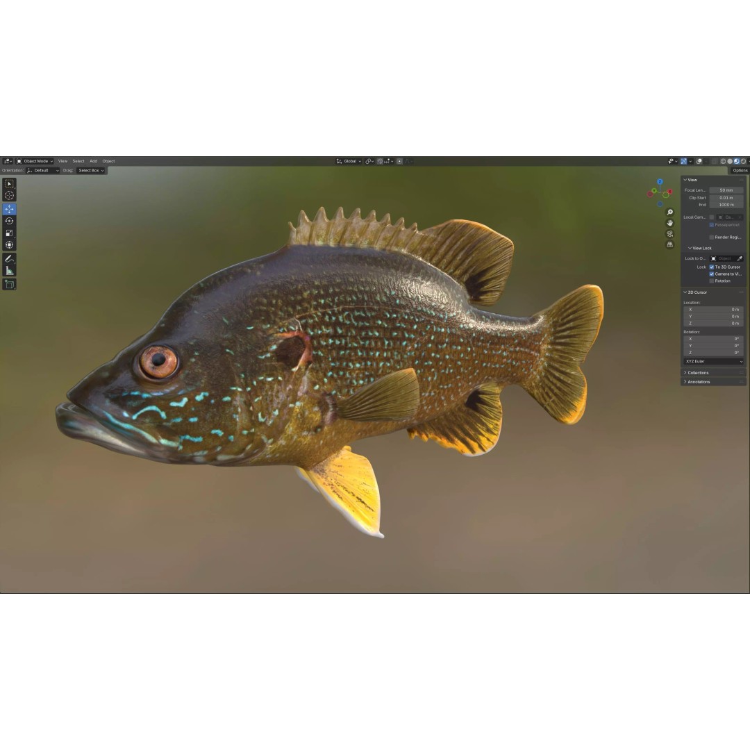 Green Sunfish 3D Model – Low Poly Rigged Asset, Blender & FBX Formats - View 8