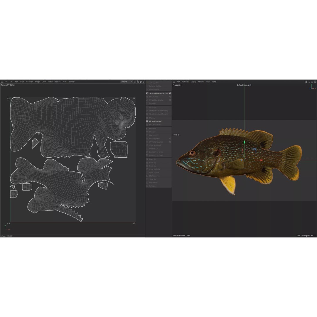 Green Sunfish 3D Model – Low Poly Rigged Asset, Blender & FBX Formats - View 9