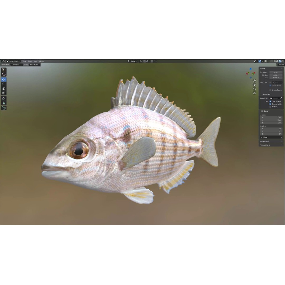 Pinfish 3D Model – Low Poly Game Asset, Blender & FBX Formats - View 8