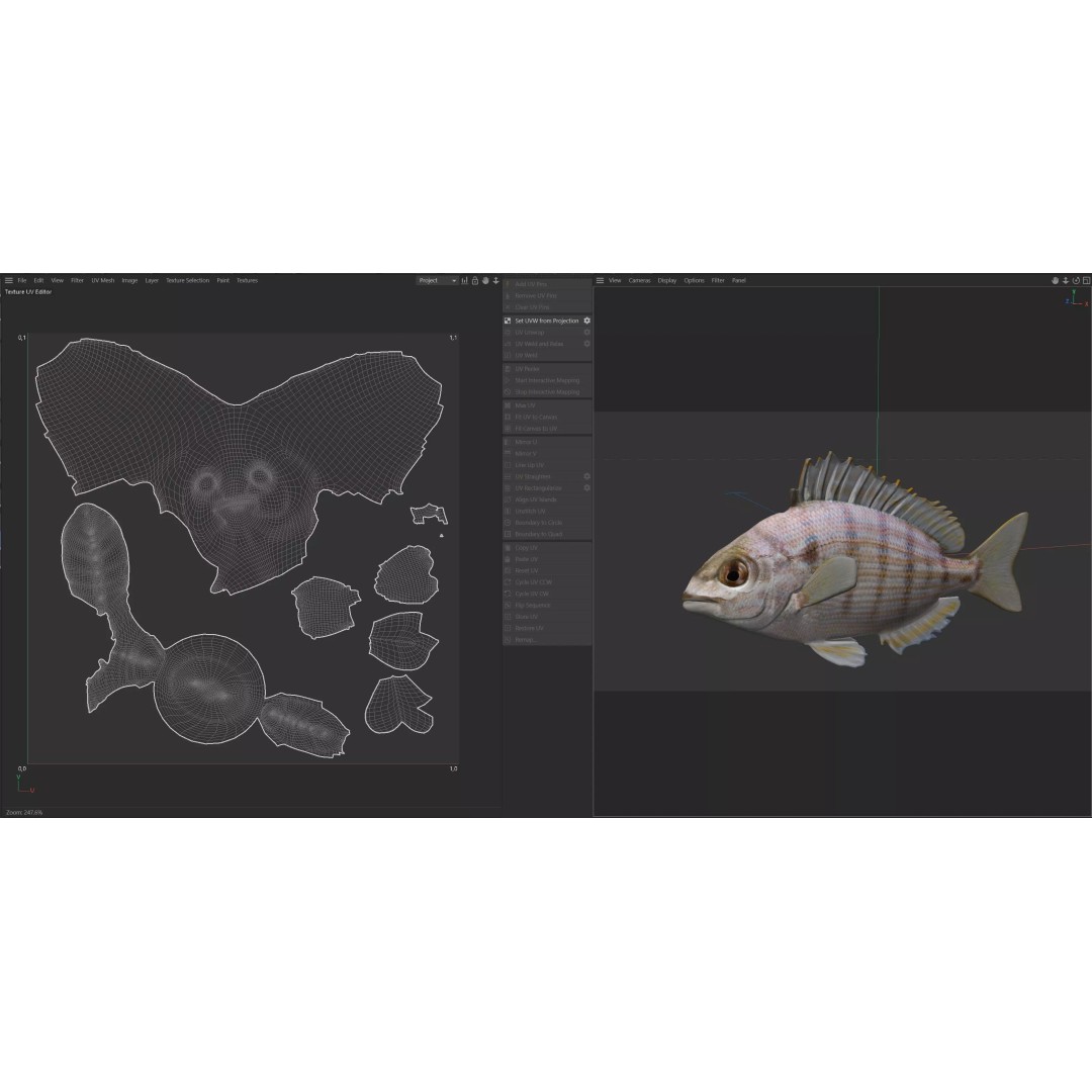 Pinfish 3D Model – Low Poly Game Asset, Blender & FBX Formats - View 9