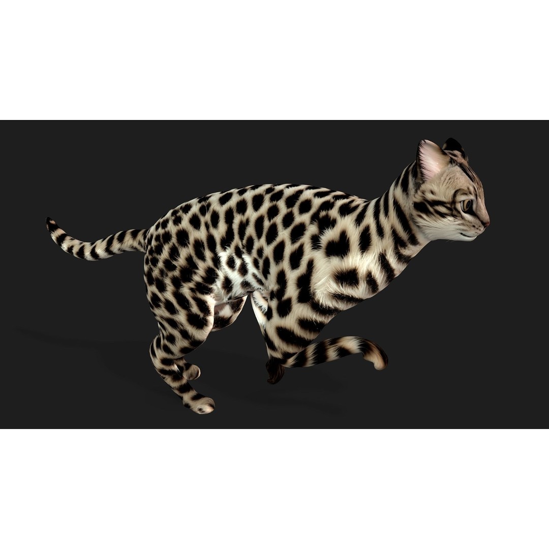 Leopard Cat 3D Model – Rigged PBR Animal Asset, FBX, Blender - View 10