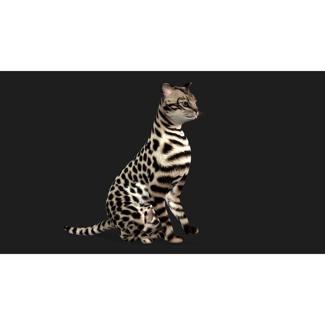 Leopard Cat 3D Model – Rigged PBR Animal Asset, FBX, Blender - View 11