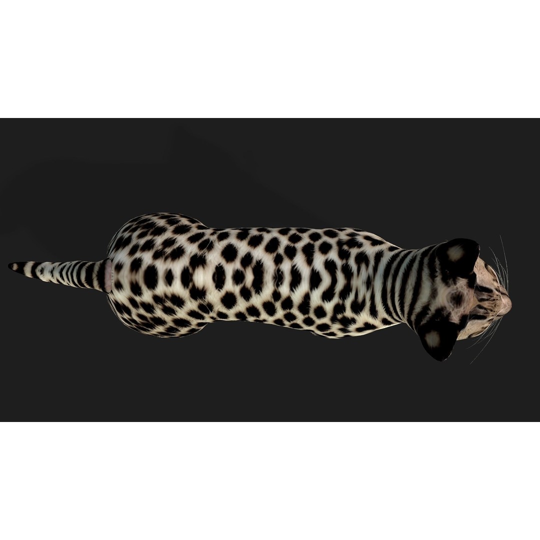 Leopard Cat 3D Model – Rigged PBR Animal Asset, FBX, Blender - View 12