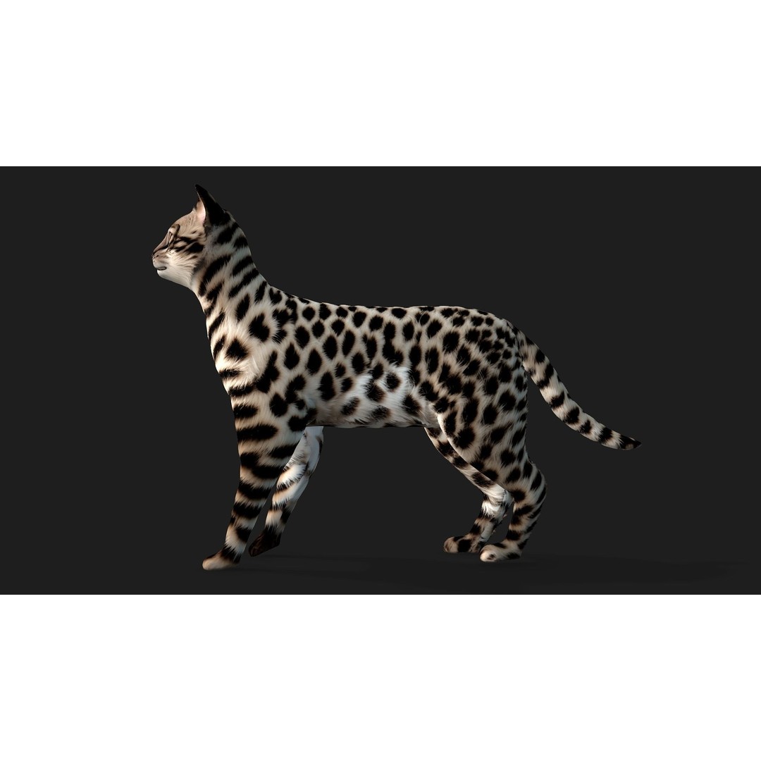 Leopard Cat 3D Model – Rigged PBR Animal Asset, FBX, Blender - View 4