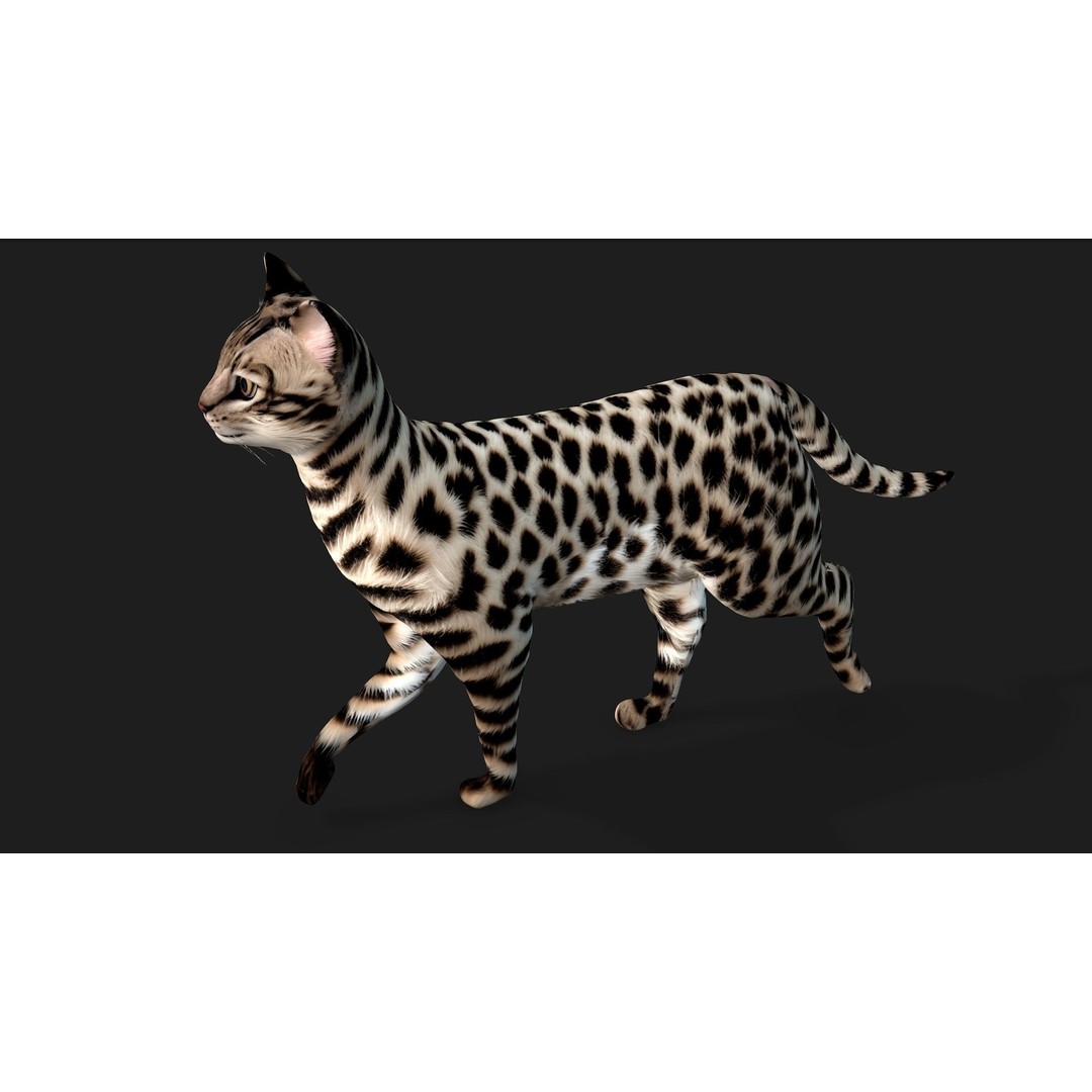 Leopard Cat 3D Model – Rigged PBR Animal Asset, FBX, Blender - View 5