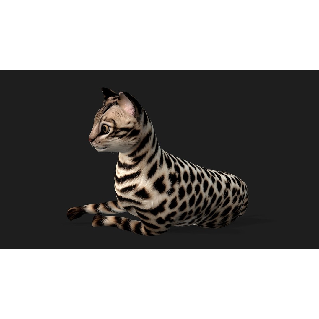Leopard Cat 3D Model – Rigged PBR Animal Asset, FBX, Blender - View 6