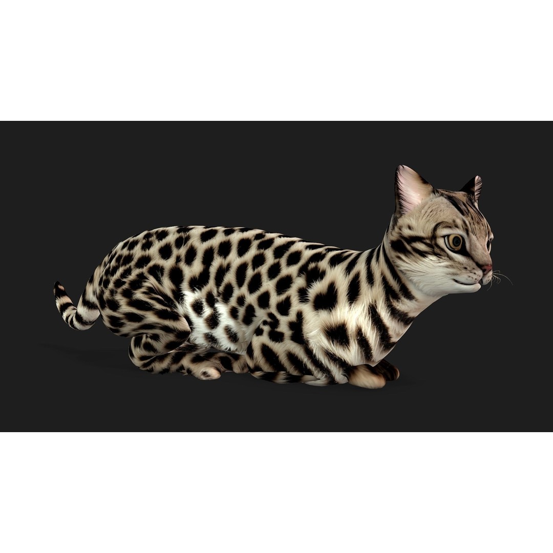Leopard Cat 3D Model – Rigged PBR Animal Asset, FBX, Blender - View 7