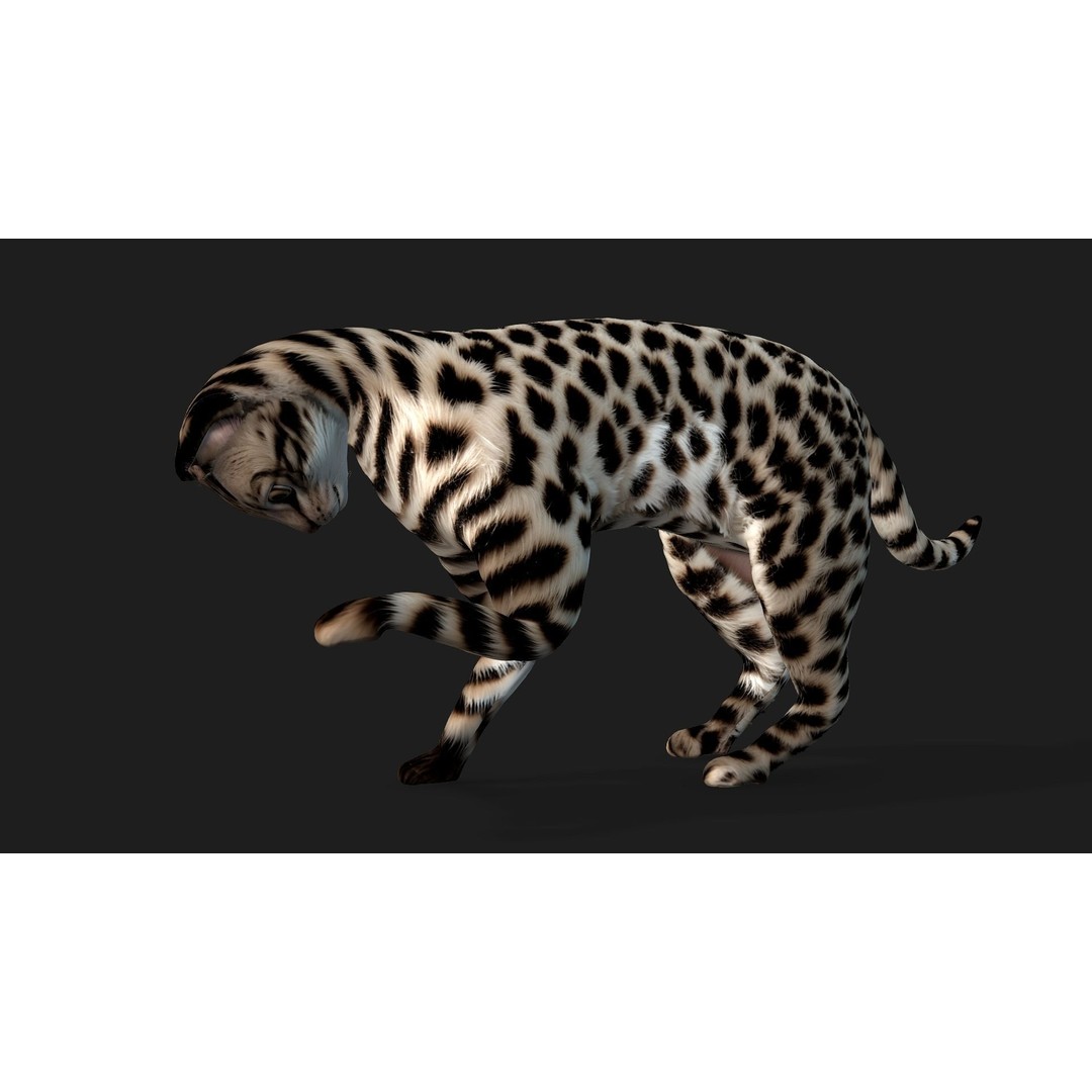 Leopard Cat 3D Model – Rigged PBR Animal Asset, FBX, Blender - View 8