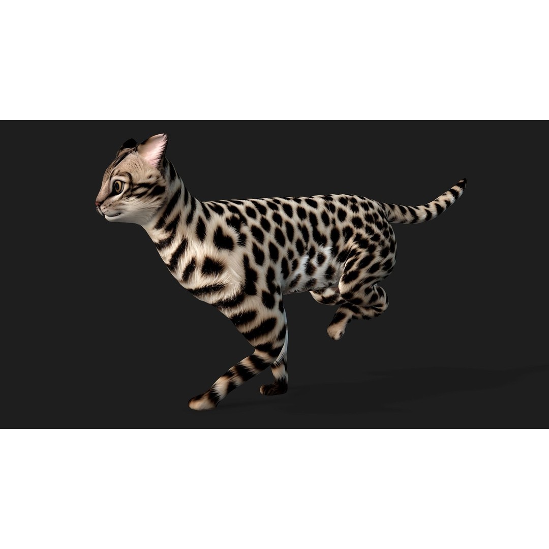 Leopard Cat 3D Model – Rigged PBR Animal Asset, FBX, Blender - View 9