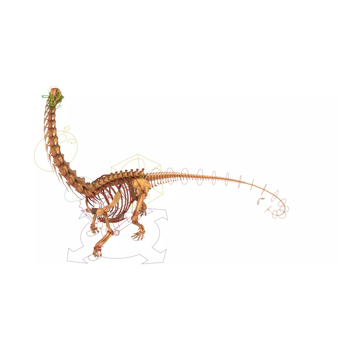 Argentinosaurus Skeleton 3D Model – Rigged Prehistoric Creature, Blender - View 14