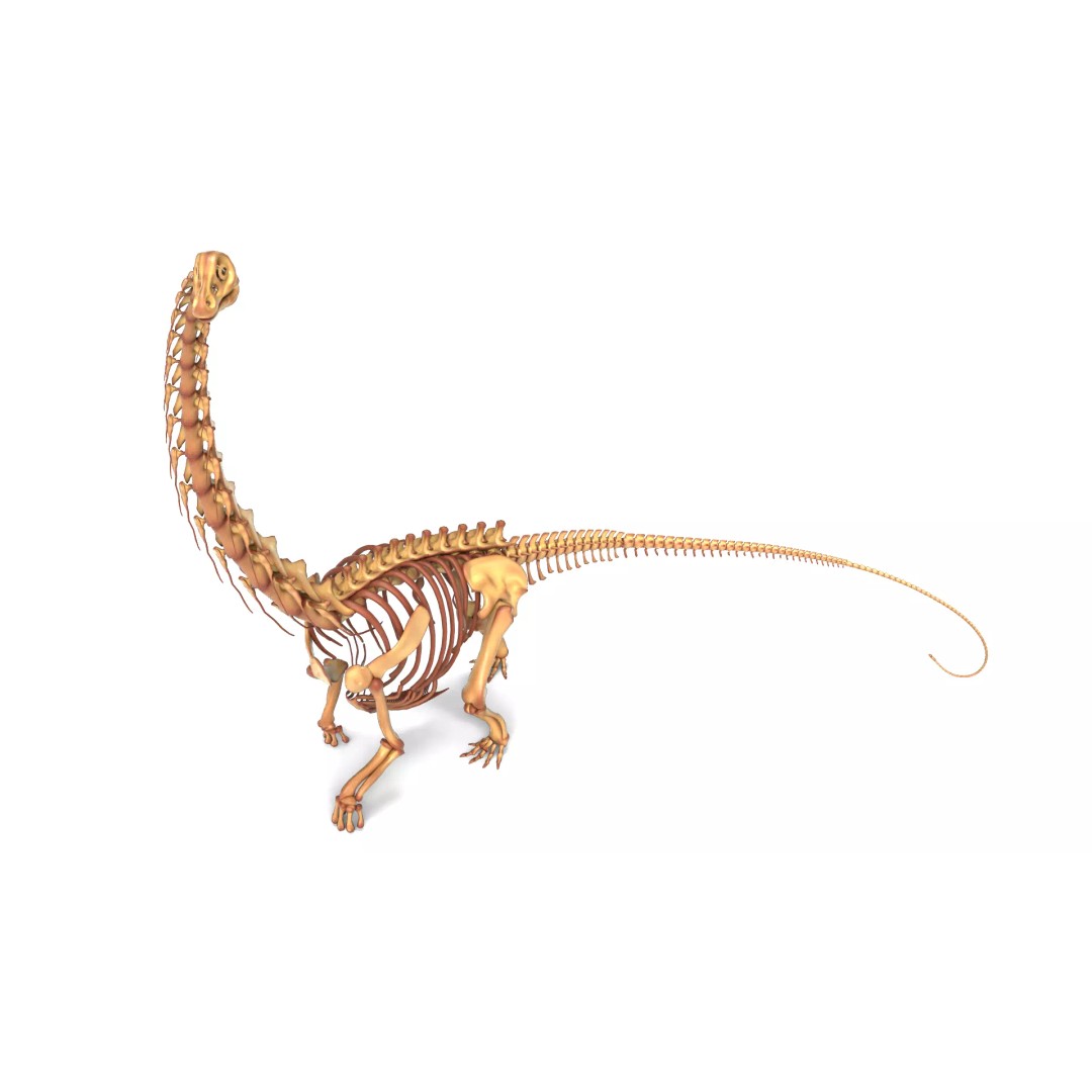 Argentinosaurus Skeleton 3D Model – Rigged Prehistoric Creature, Blender - View 2