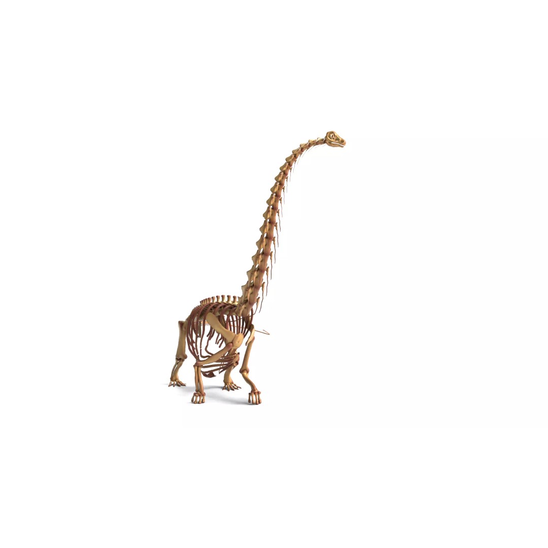 Argentinosaurus Skeleton 3D Model – Rigged Prehistoric Creature, Blender - View 9