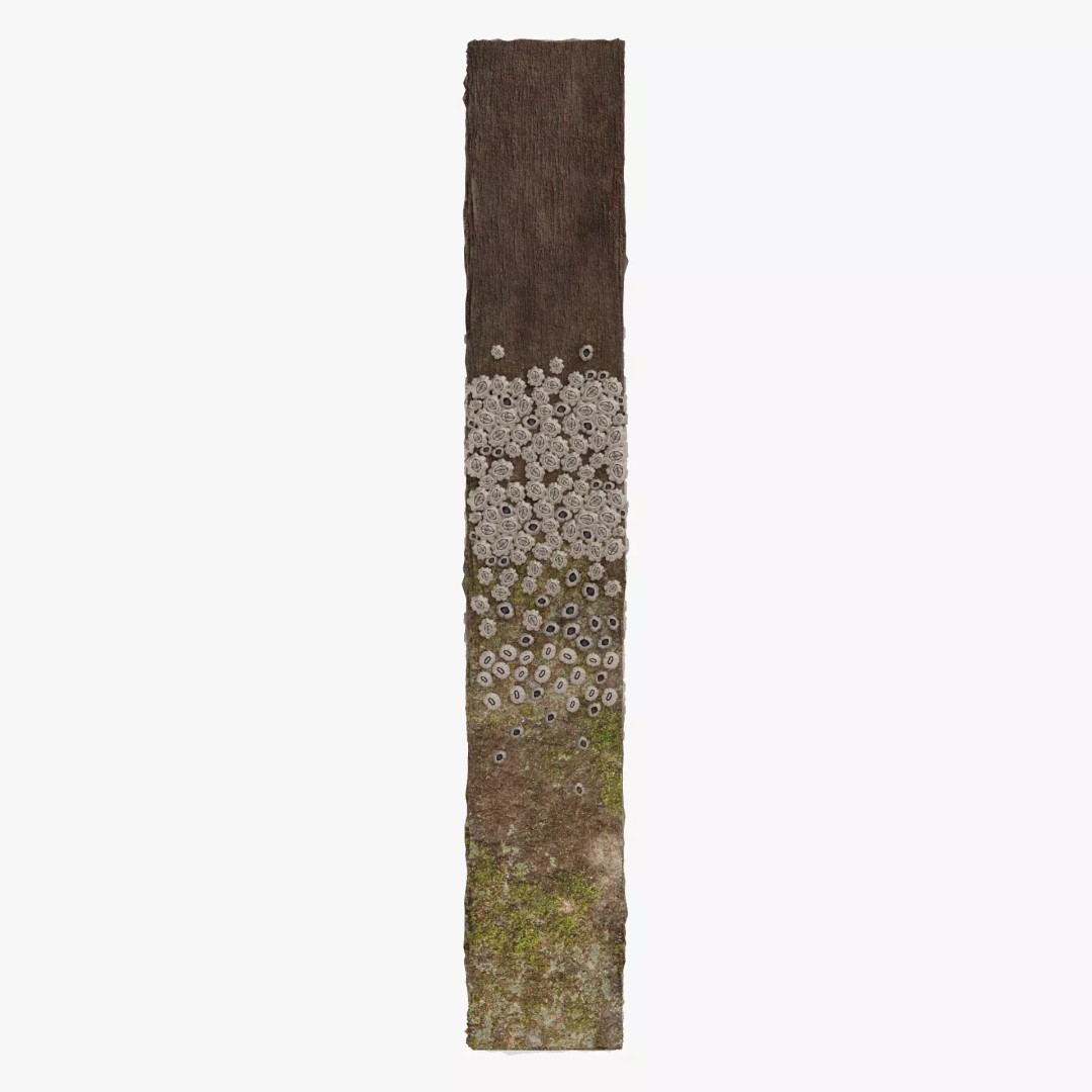 Barnacle-Covered Column 3D Model – High Detail PBR Asset for Blender