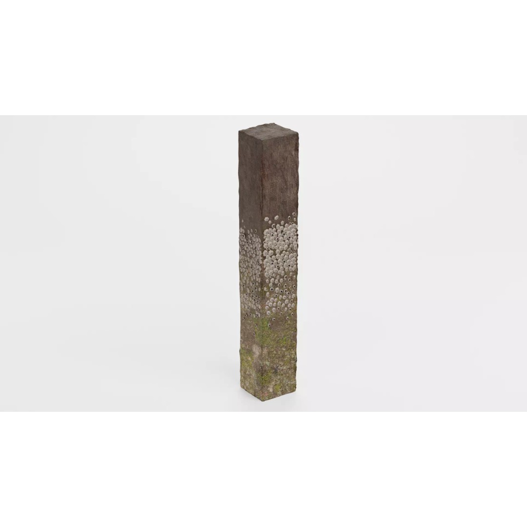 Barnacle-Covered Column 3D Model – High Detail PBR Asset for Blender - View 10