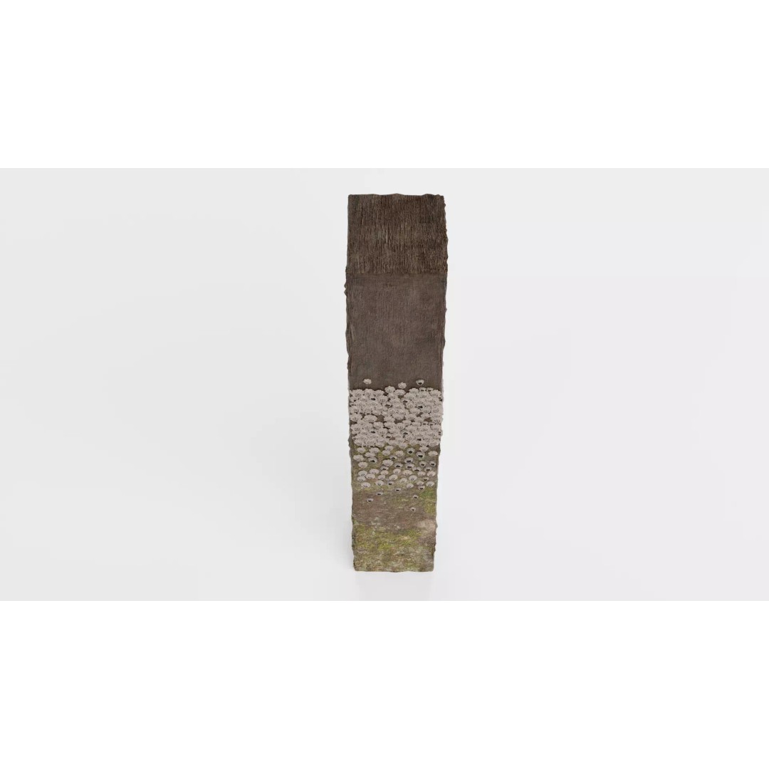 Barnacle-Covered Column 3D Model – High Detail PBR Asset for Blender - View 11