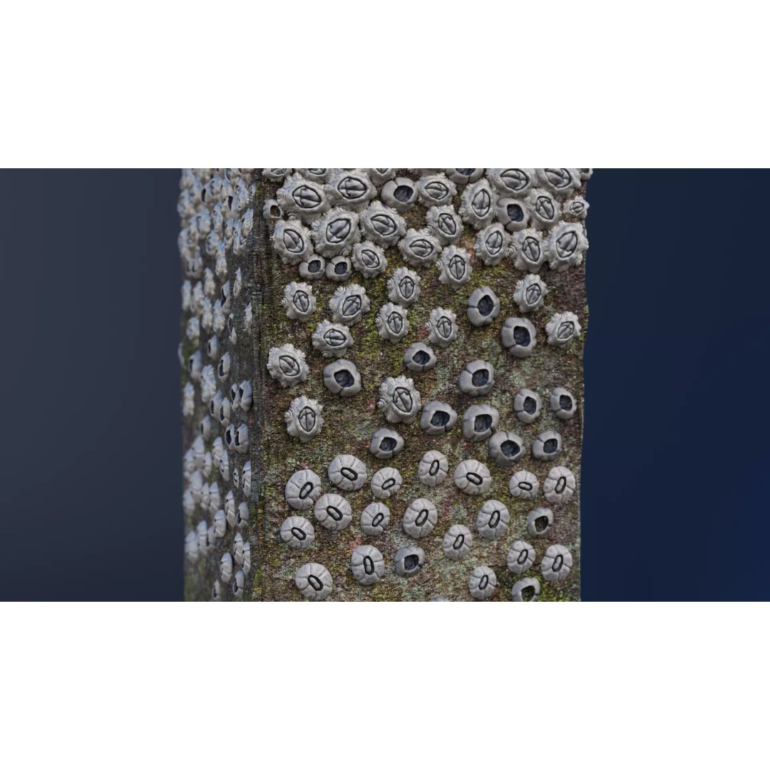 Barnacle-Covered Column 3D Model – High Detail PBR Asset for Blender - View 2