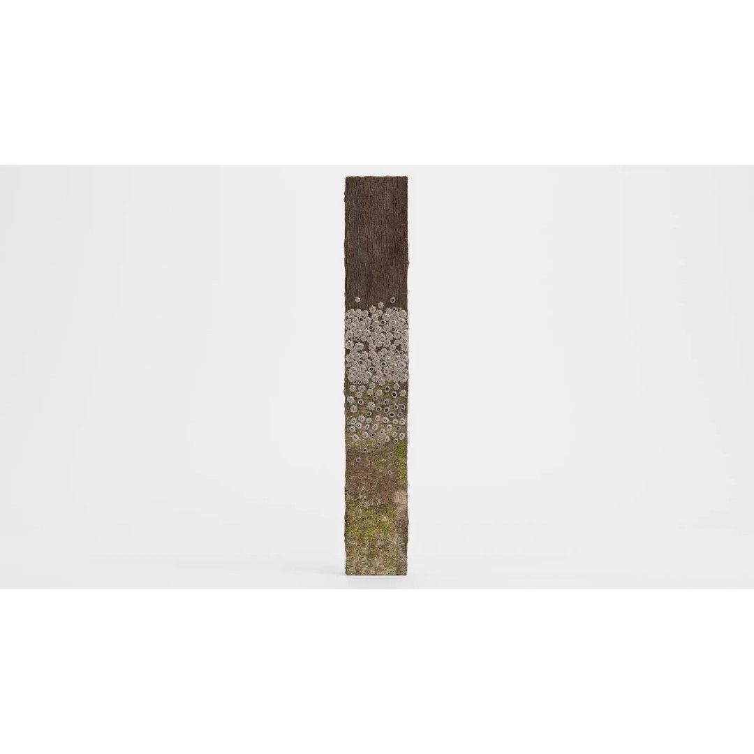 Barnacle-Covered Column 3D Model – High Detail PBR Asset for Blender - View 3