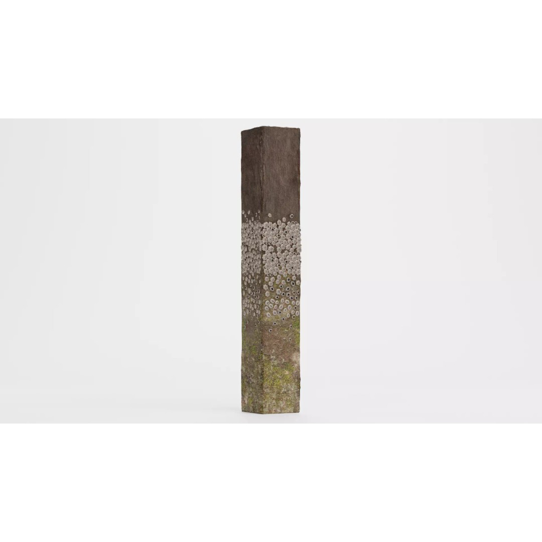 Barnacle-Covered Column 3D Model – High Detail PBR Asset for Blender - View 5