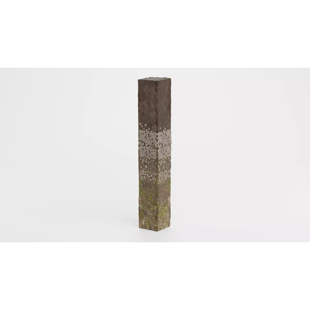 Barnacle-Covered Column 3D Model – High Detail PBR Asset for Blender - View 7