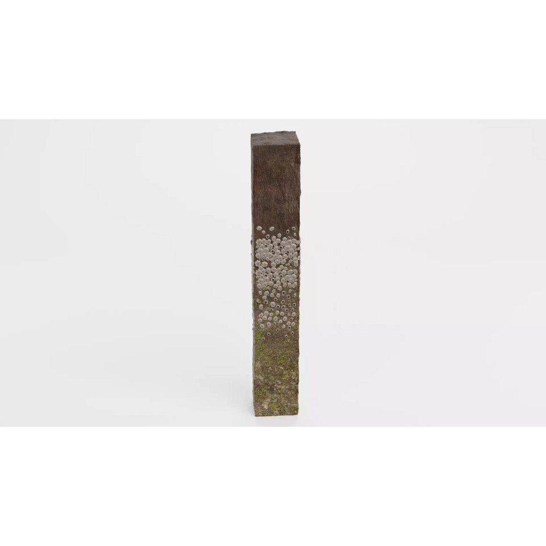Barnacle-Covered Column 3D Model – High Detail PBR Asset for Blender - View 9