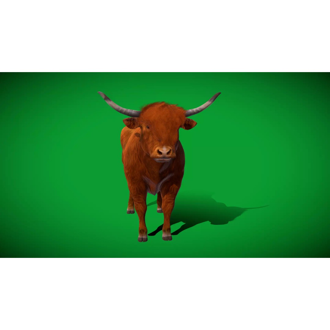 Highland Cattle 3D Model – Low Poly Game Ready Rigged Animal
