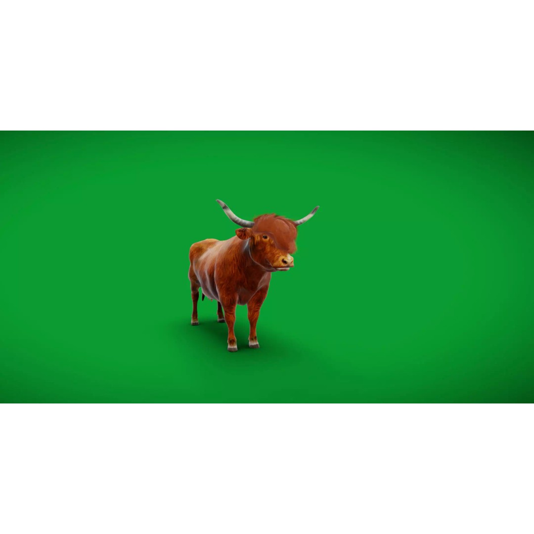 Highland Cattle 3D Model – Low Poly Game Ready Rigged Animal - View 10